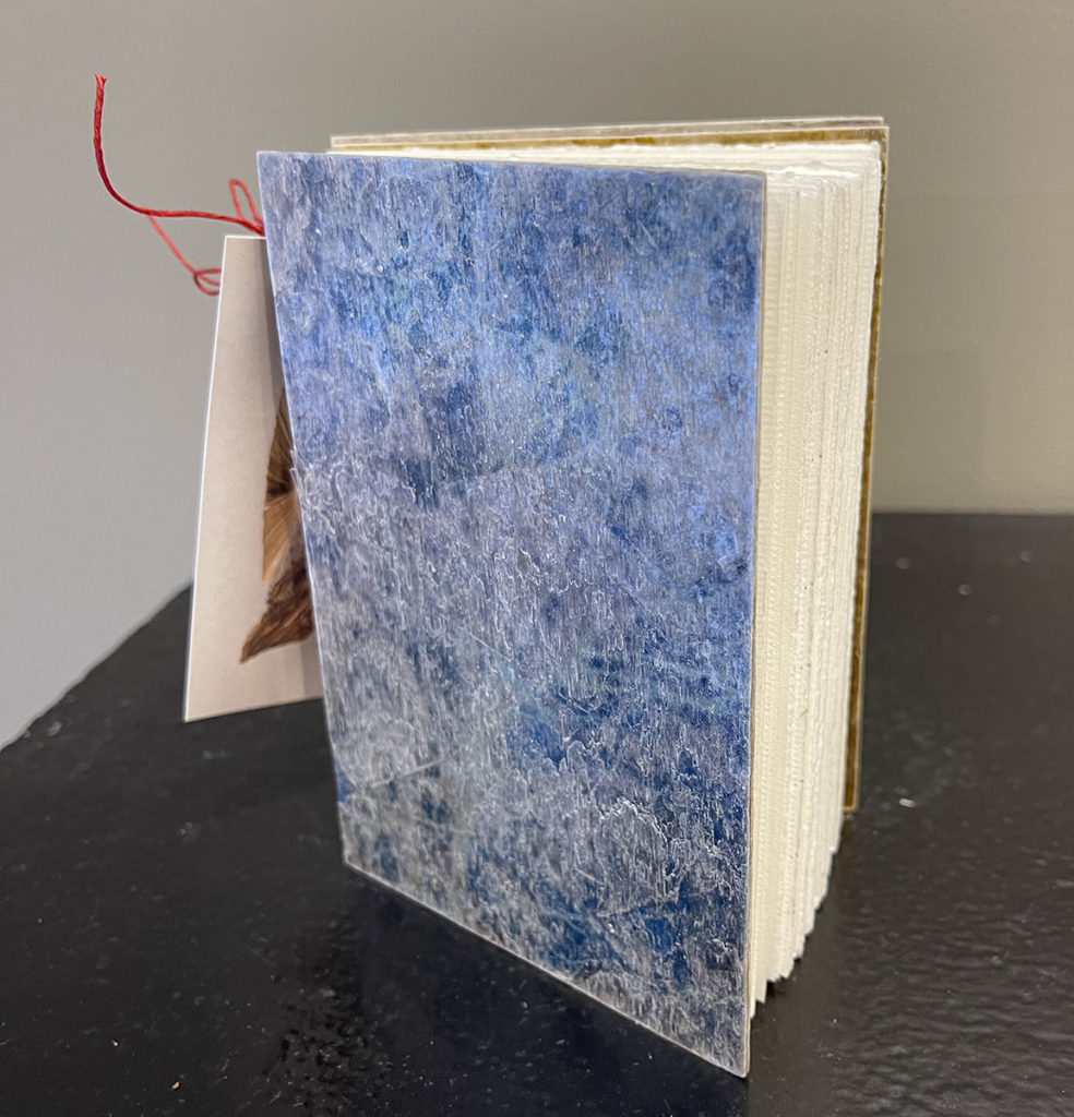 Journal View B-Kerry McAleer Keeler | LibertyTown Arts Workshop