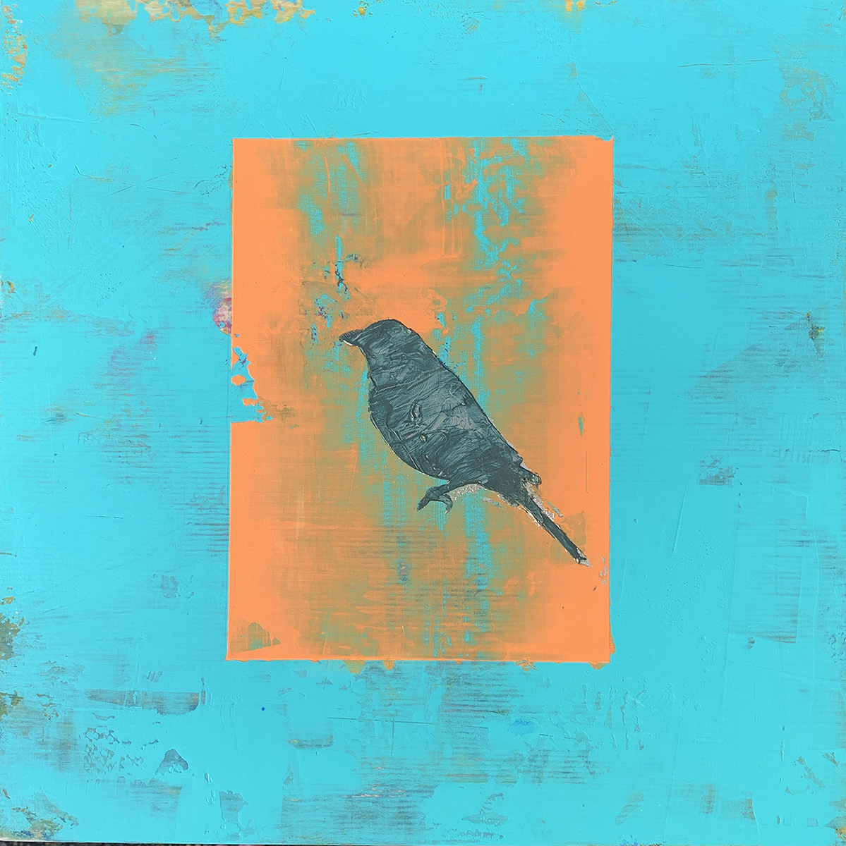 TarverStudio_Bird