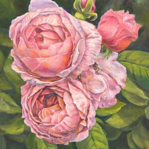 “Cottage Rose” By Norah Kim Smith