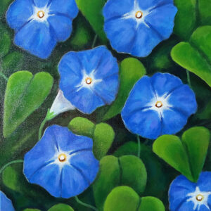 “Morning Glories” By Amanda Carter