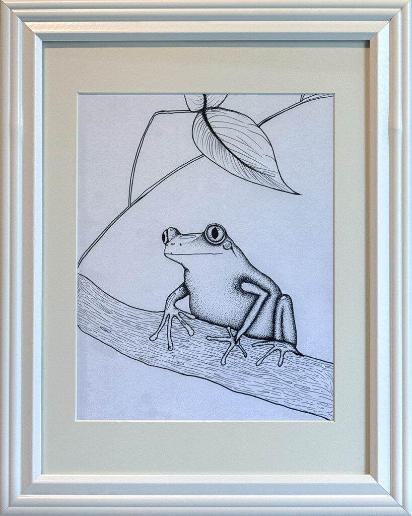 Martin Frog frog-Mackenzie Martin | LibertyTown Arts Workshop