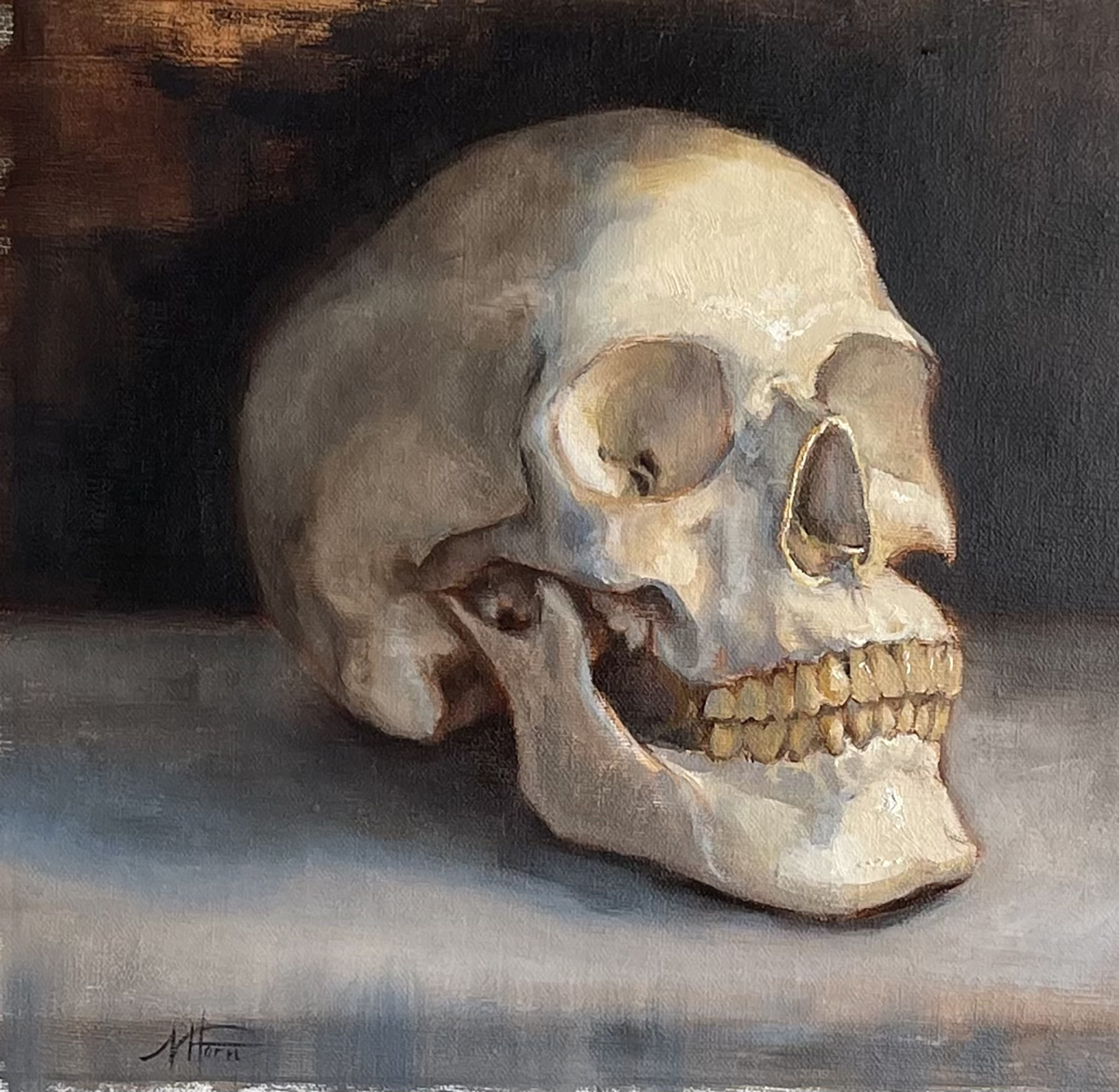 painting skull study