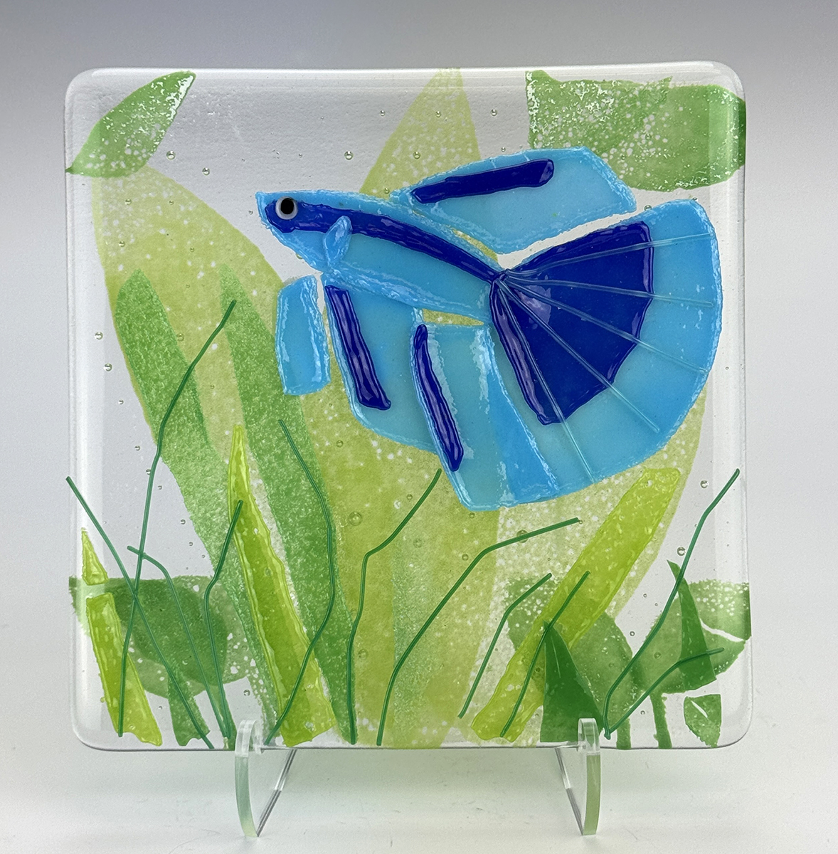 Betta Fish-Heather Breadley