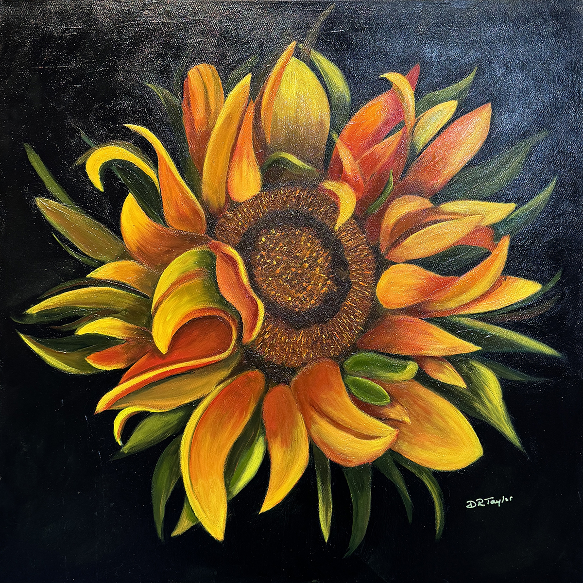 Sunflower-Danette Taylor