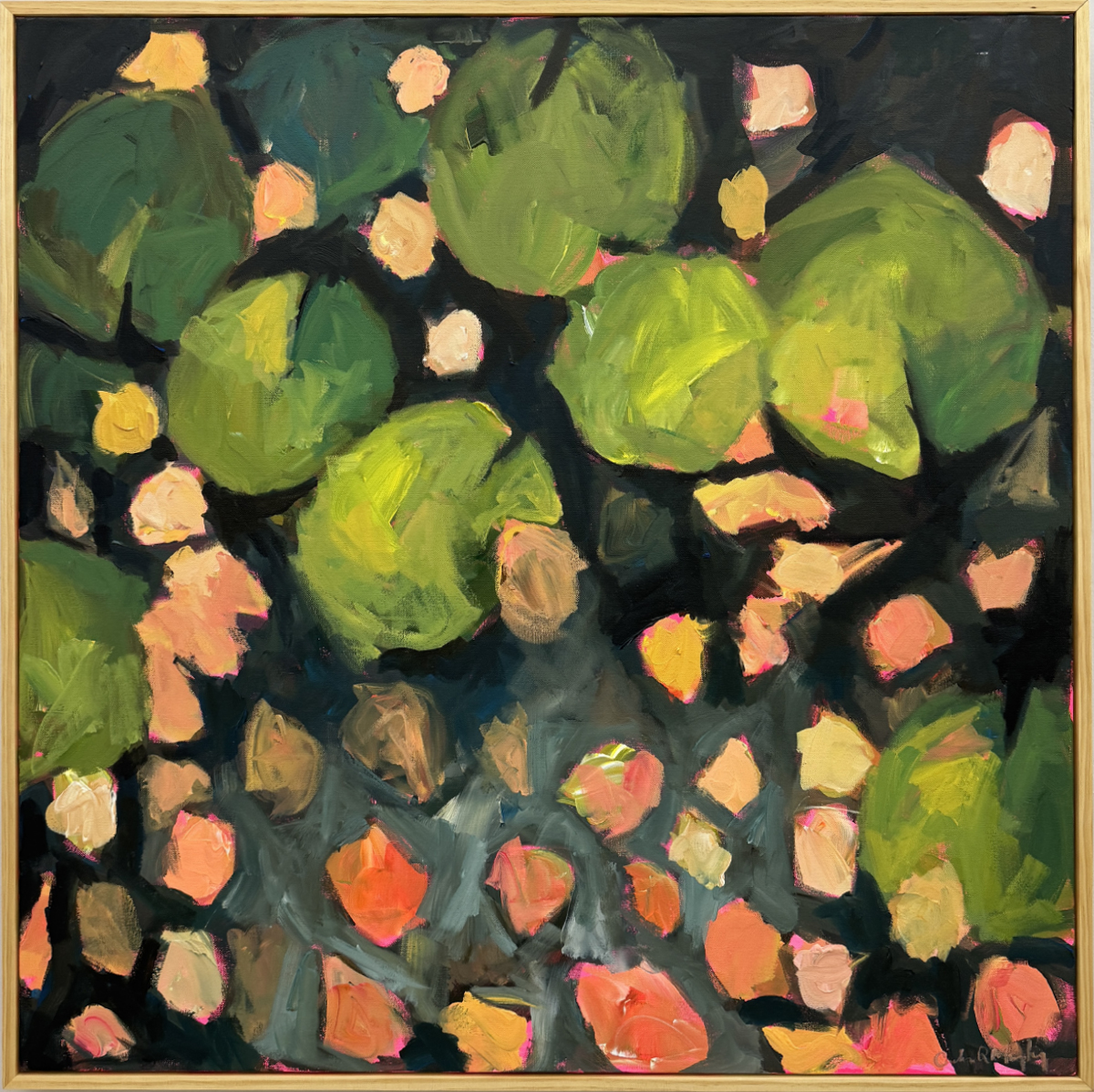 Don't Ask Why-Caroline Murphy