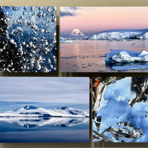 “Still Water” by Kareen Canora