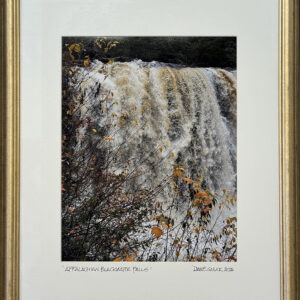 “Appalachian Black Waterfalls” by Diane Gulick