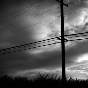 44. “Power Sources” by Crystal Rodrigue