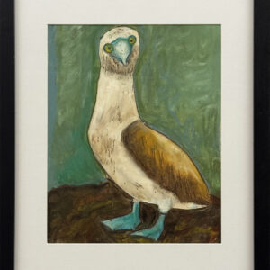 “Blue Footed Booby” by Lesley Pesnicak