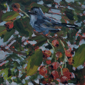 “Catbird and Serviceberry Buffet” by Kelly Cummins
