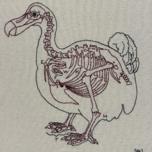 “Dodo pg. 95” by Jenny Kenyon