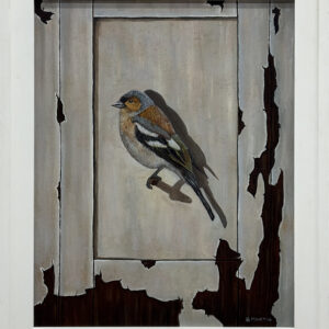 “Fringilla Coelebs” by Brittni Martin