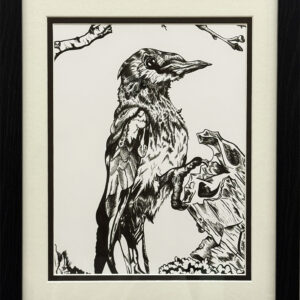 “Lewis’s Woodpecker” by McKenna Wilson