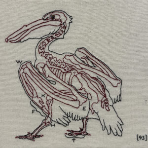 “Pelican pg. 93” by Jenny Kenyon