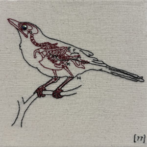 “Robin pg. 77” by Jenny Kenyon