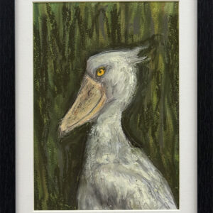 “Shoebill” by Lesley Pesnicak